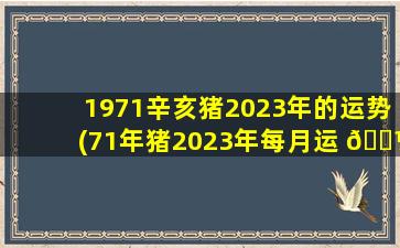 1971辛亥猪2023年的运势(71年猪2023年每月运 🌼 势如何 🌾 详细)